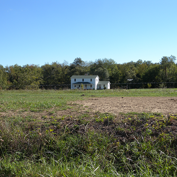 Amish Homesteads