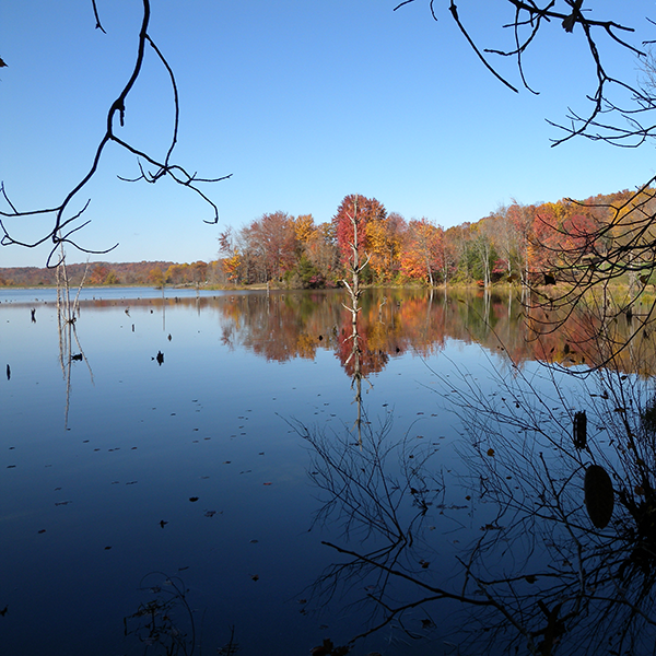 Delaney Creek Park