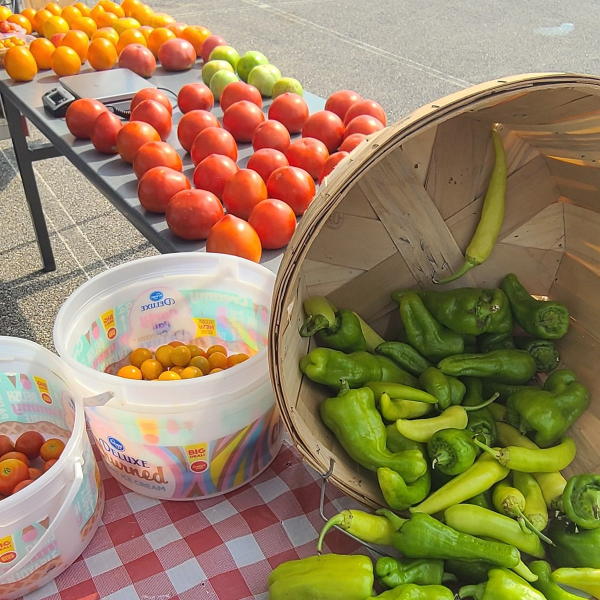 Washington County Farmers Market