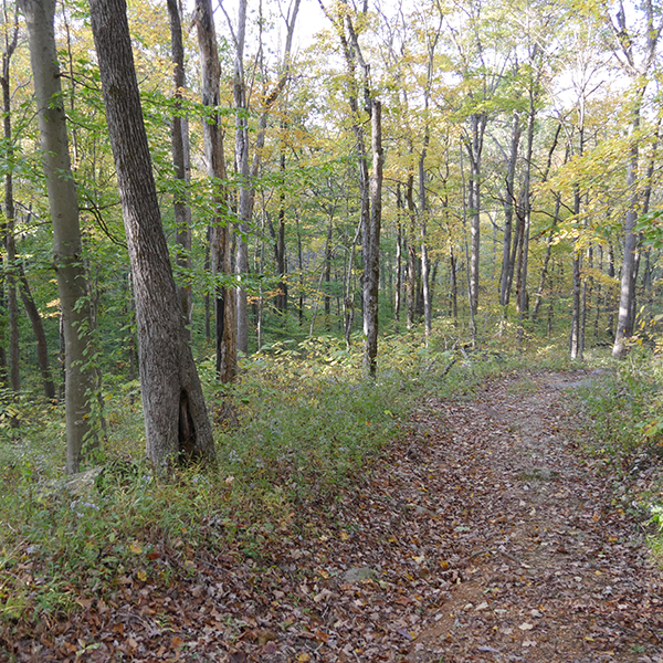 Cave River Valley Natural Area & Trail